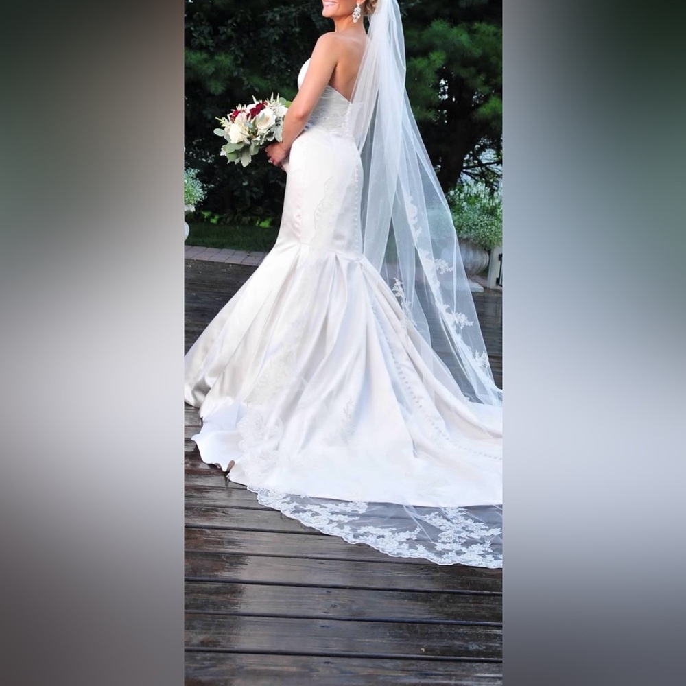 Elegant Ivory Cathedral Length Wedding Veil